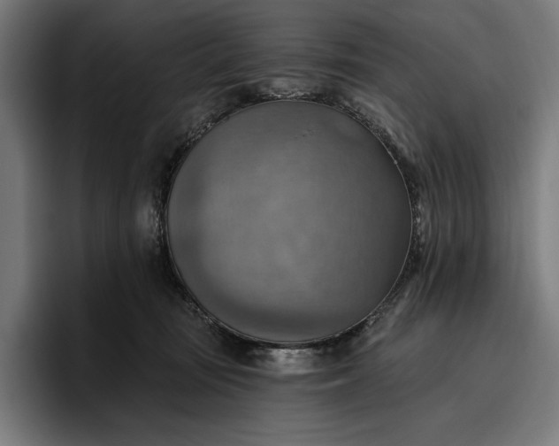 X0000096690371200802191433