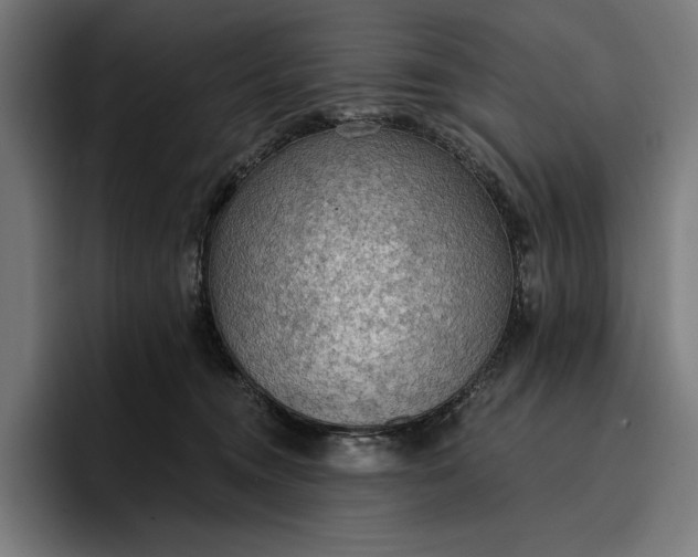 X0000096690372200802191433