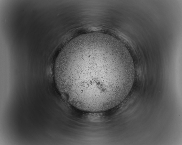 X0000096690373200802191433