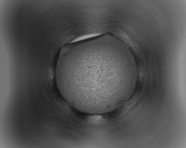 X0000096690374200802191433