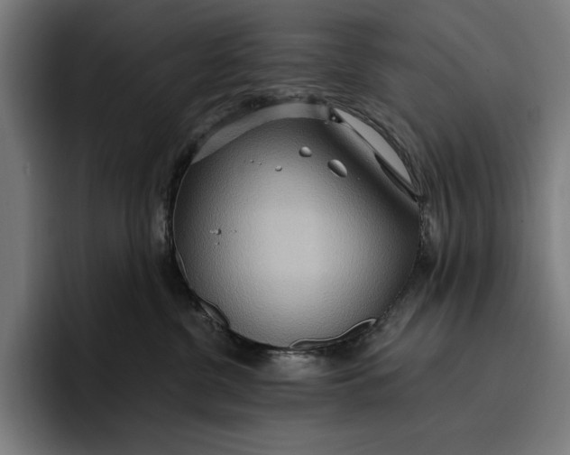 X0000096690380200802191433