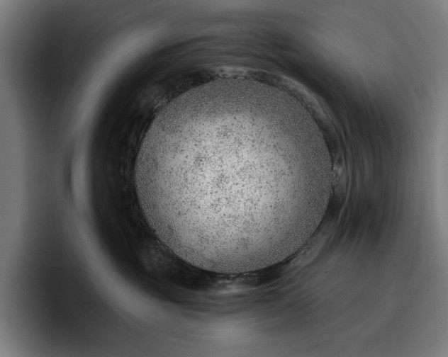 X0000096690381200802191433