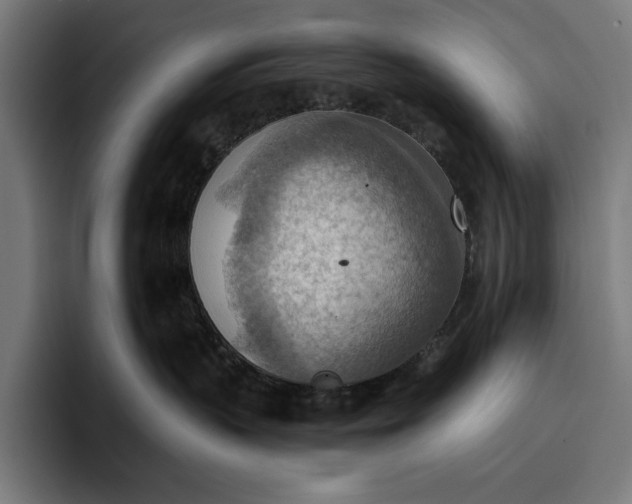 X0000096690383200802191433