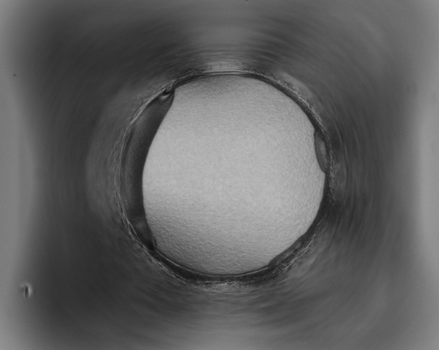 X0000096690385200802191432