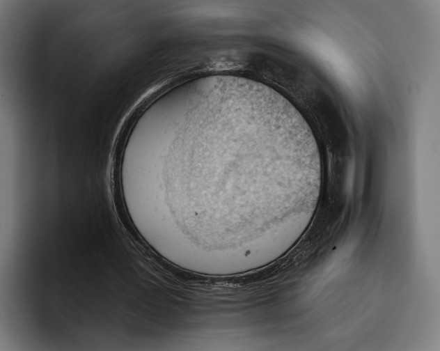 X0000096690387200802191432