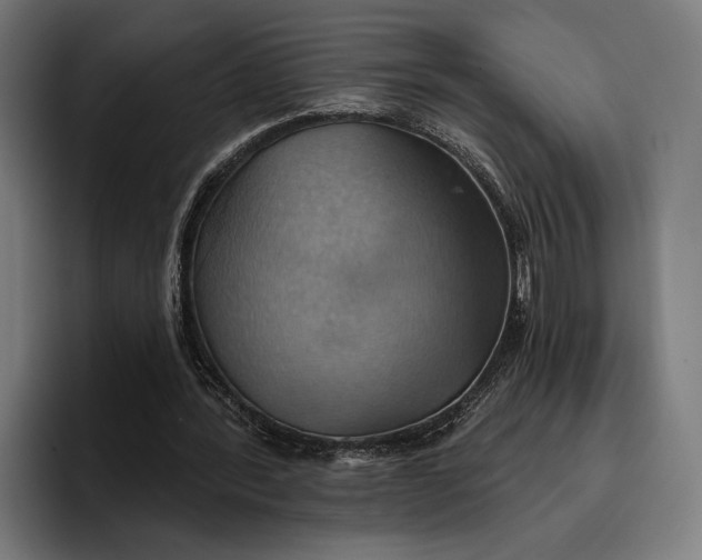 X0000096690388200802191432