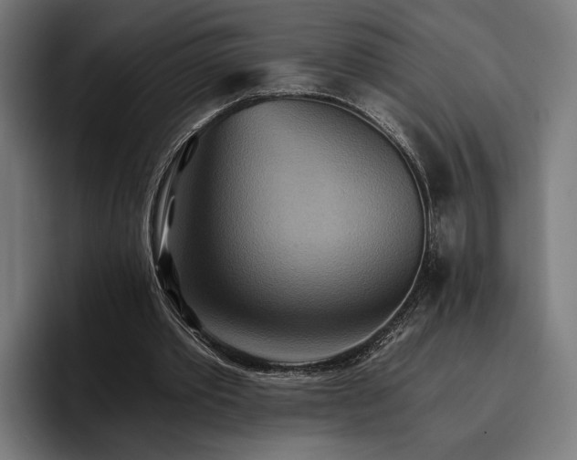 X0000096690389200802191432