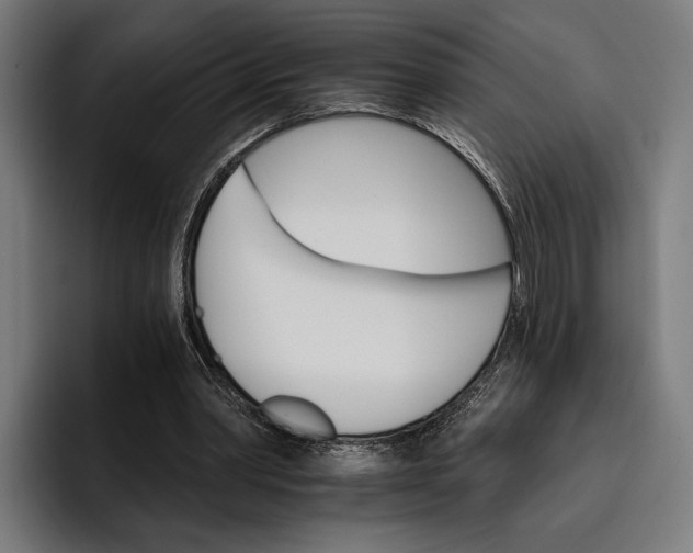 X0000096690390200802191432