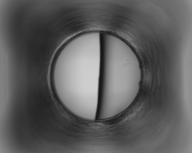 X0000096690391200802191432