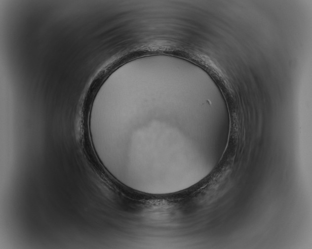 X0000096690392200802191432