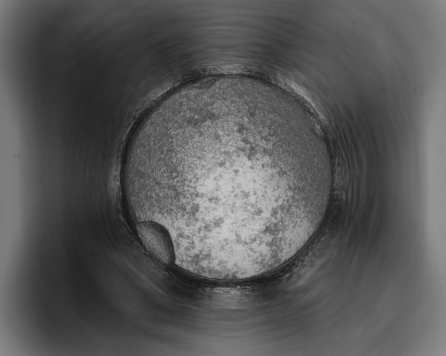 X0000096690394200802191432