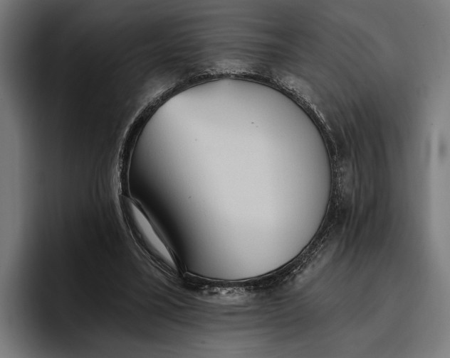 X0000096690395200802191432