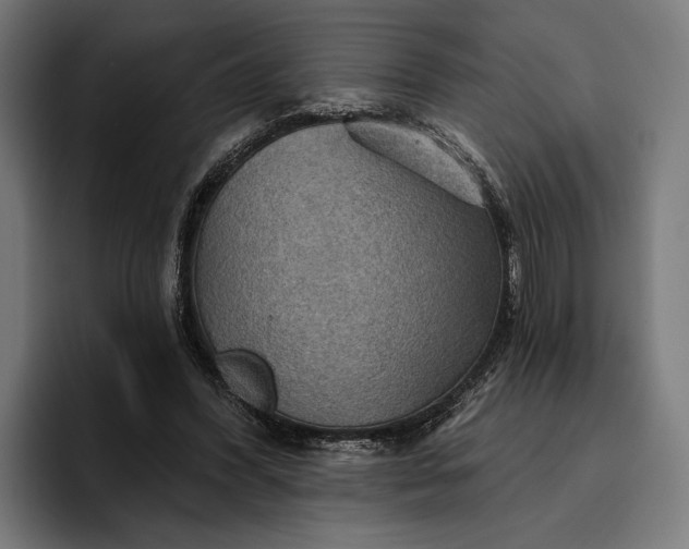 X0000096690396200802191432