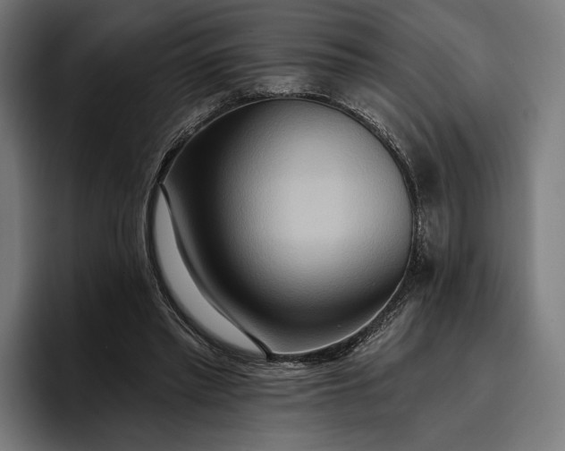 X0000096690397200802191432