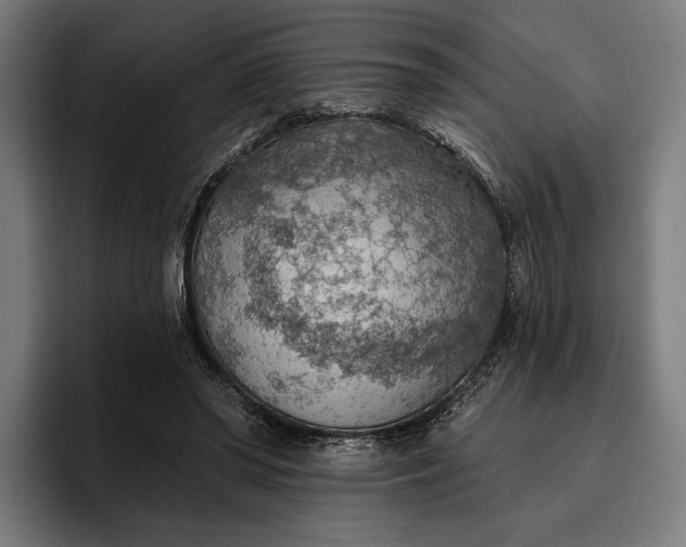 X0000096690398200802191432