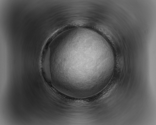 X0000096690399200802191432