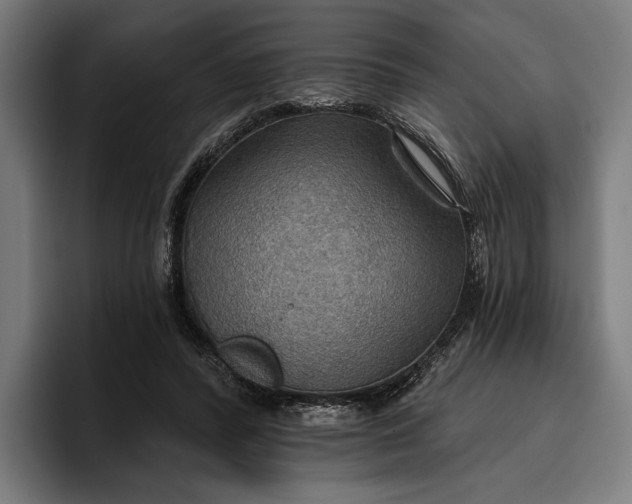 X0000096690400200802191432