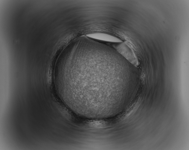 X0000096690402200802191432