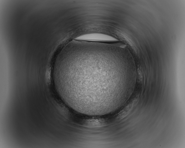 X0000096690404200802191432