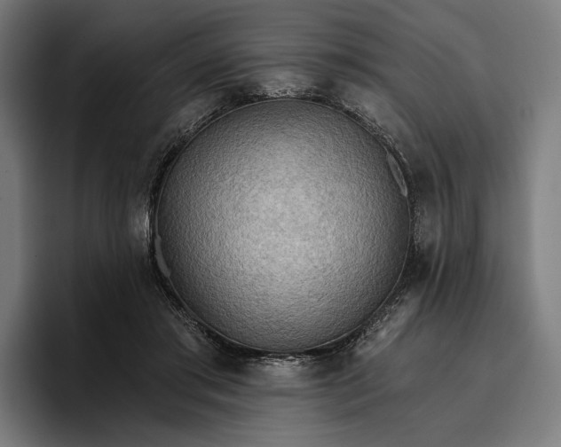 X0000096690405200802191432