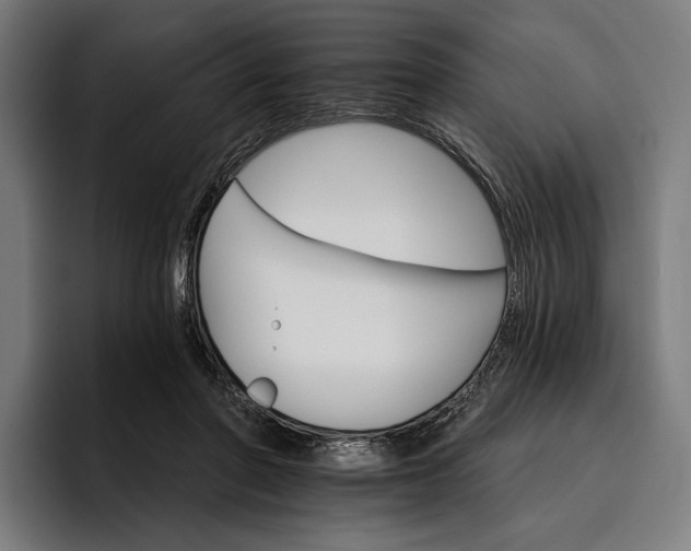 X0000096690406200802191432