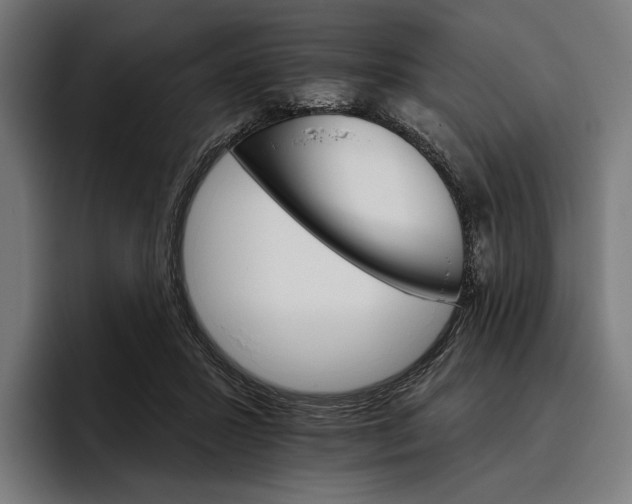 X0000096690407200802191432