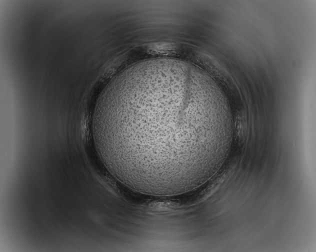 X0000096690408200802191432