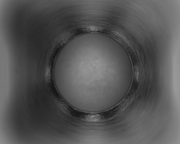 X0000096690410200802191432