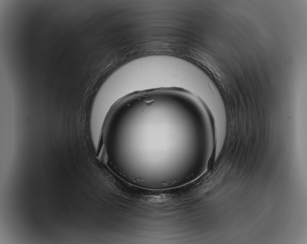 X0000096690411200802191432