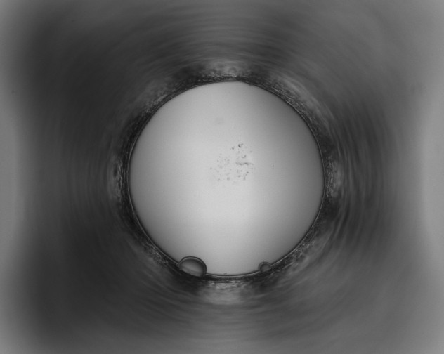 X0000096690414200802191432