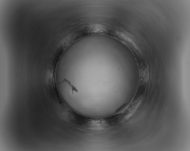 X0000096690415200802191432