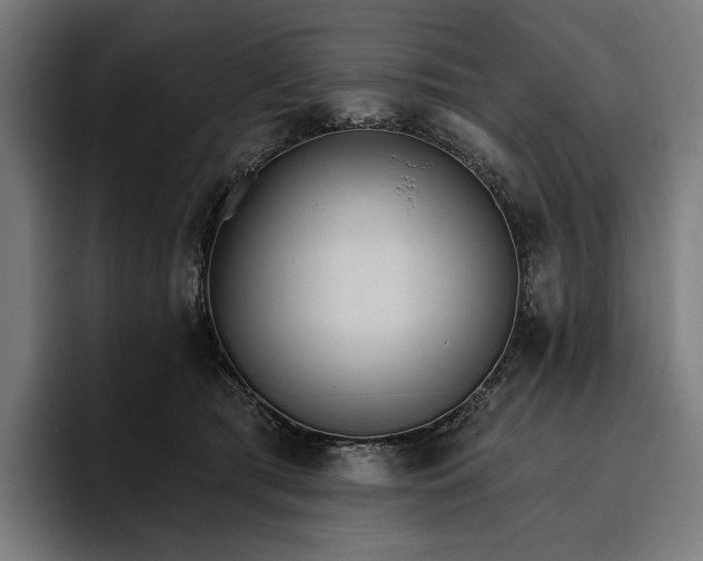 X0000096690417200802191432