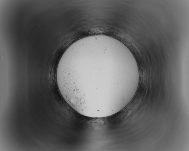 X0000096690418200802191432