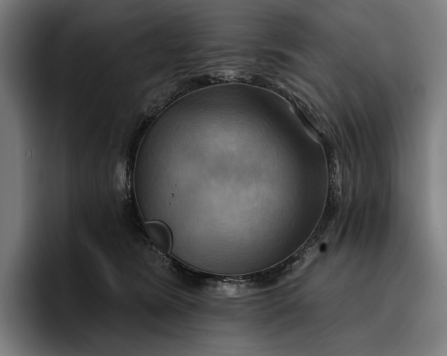 X0000096690420200802191432