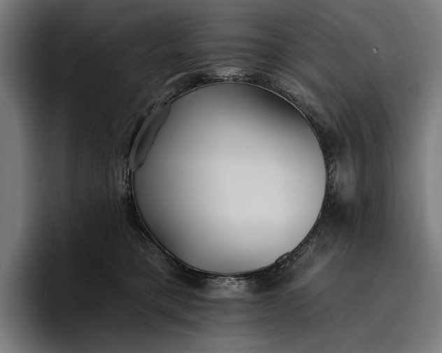 X0000096690421200802191432