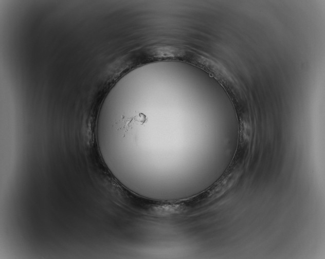 X0000096690422200802191432