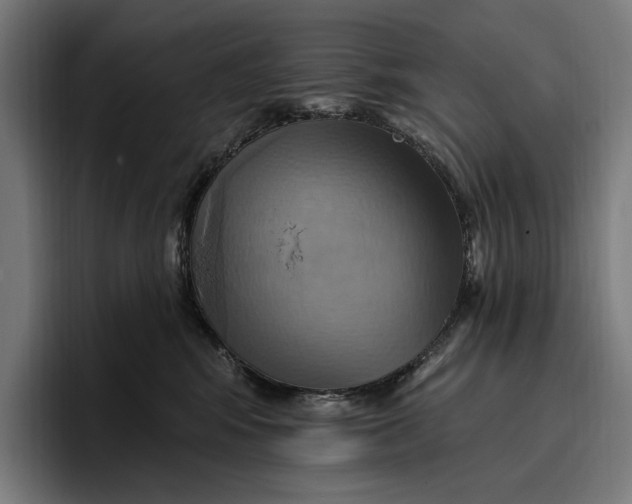 X0000096690424200802191432