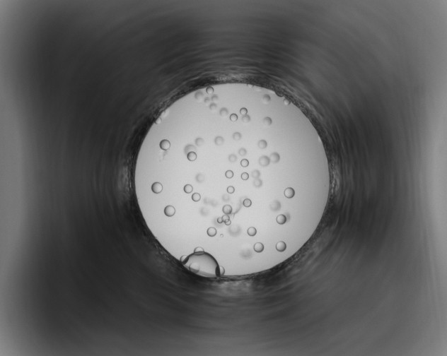 X0000096690426200802191432