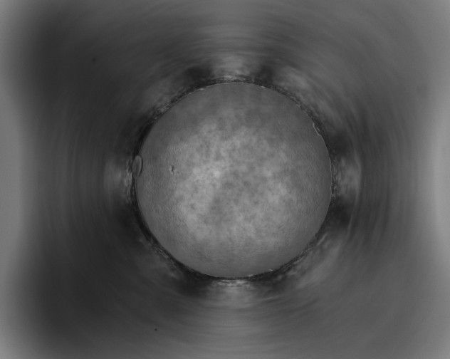 X0000096690427200802191432