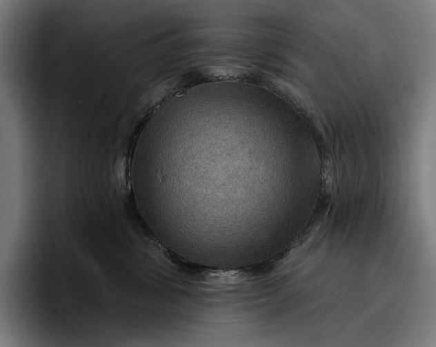 X0000096690428200802191432