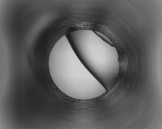 X0000096690429200802191432