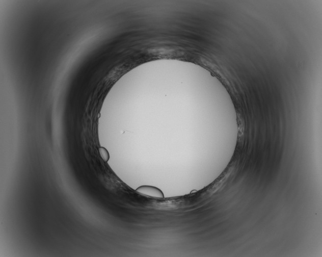 X0000096690430200802191432