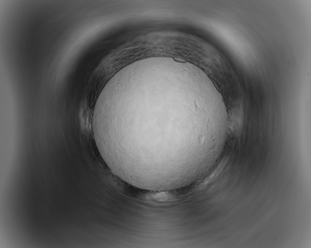 X0000096690431200802191432