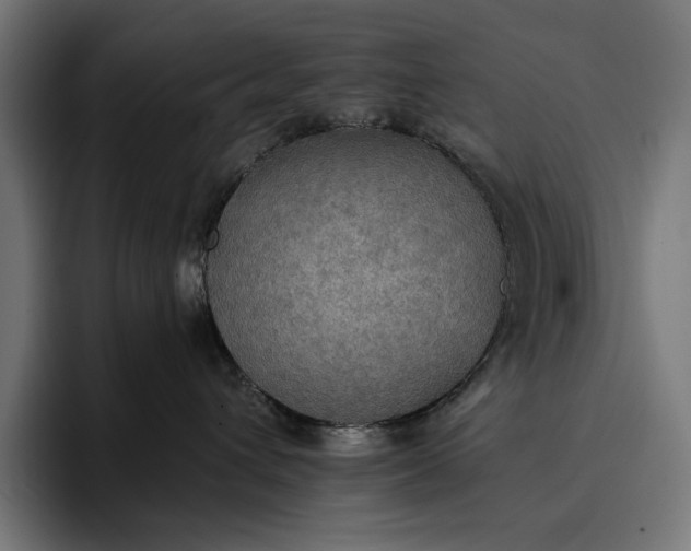 X0000096690432200802191432