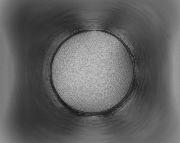 X0000096690433200802191431