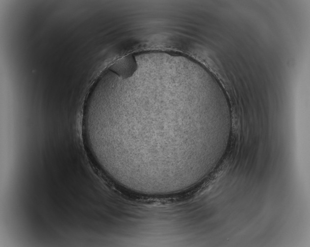 X0000096690434200802191431