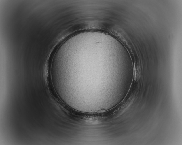 X0000096690435200802191431