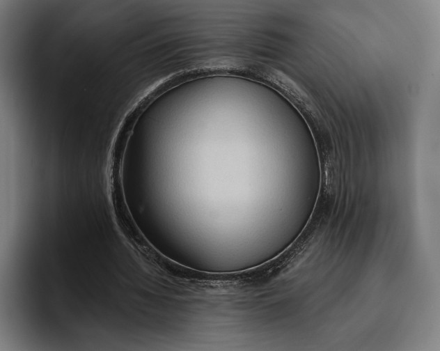 X0000096690436200802191431