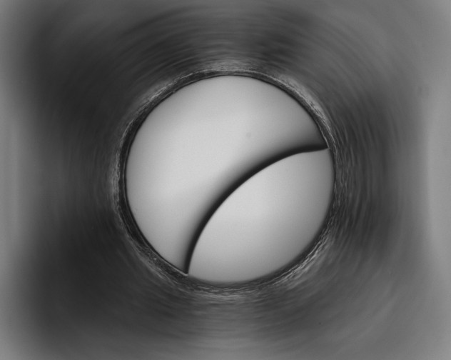 X0000096690437200802191431