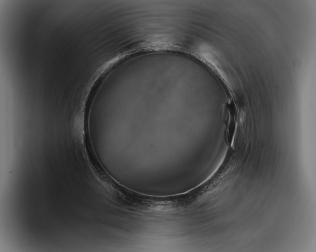 X0000096690438200802191431